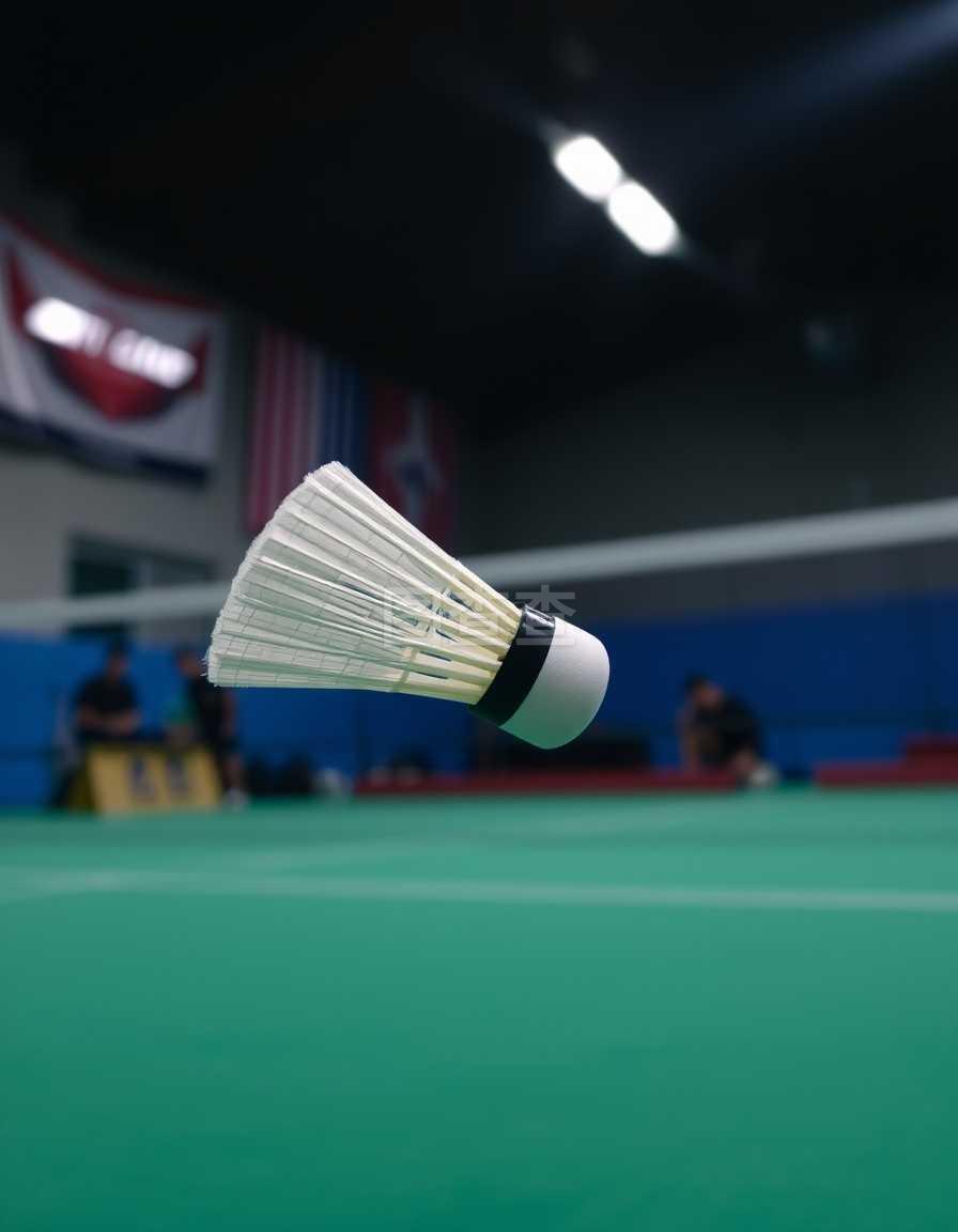 阅读能力的 阅读能力的